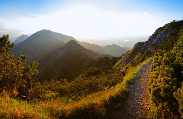 Mountain Trail sunny resized